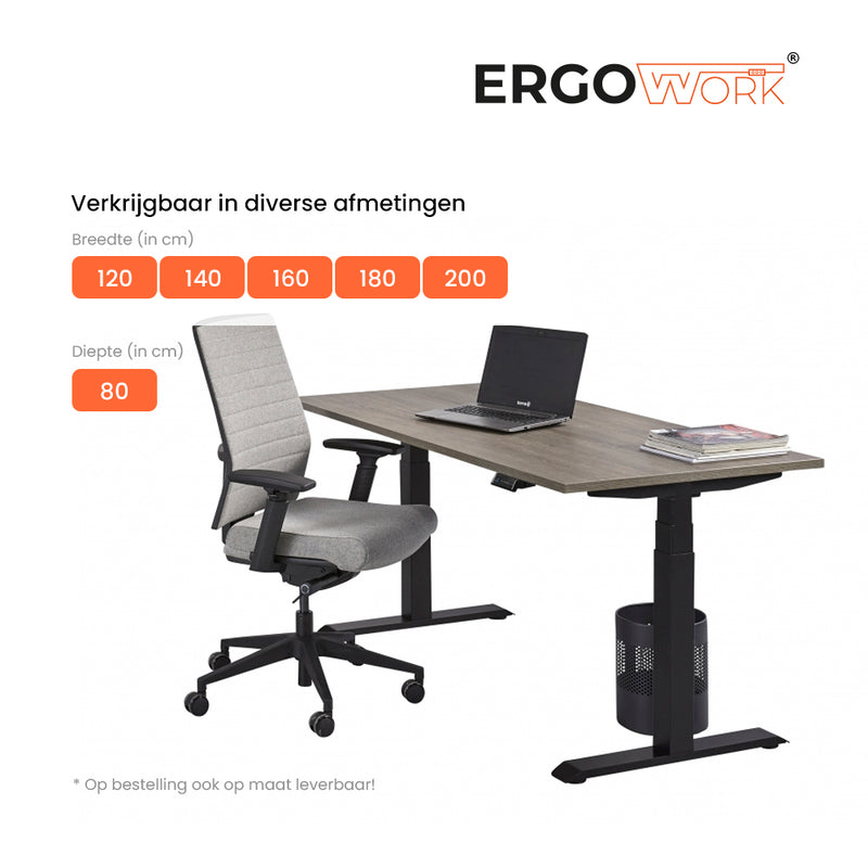 Ergowork Pro zit-sta bureau